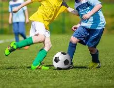 双色球高手,秘籍,期精准杀号,大发彩票官方网站,大发彩票官方,大发快三彩票,大发彩票体育平台,大发彩票赛事机构,大发彩票直播运营公司