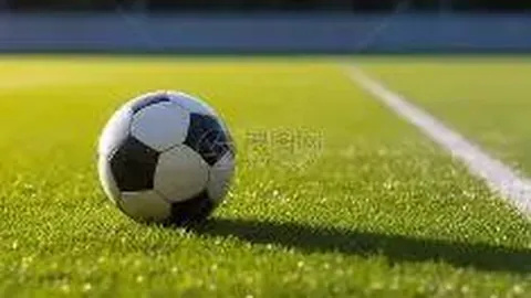 川超德阳队教练团队尘埃落定，外籍技术总监过往执掌中甲球队