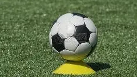 【梦幻南疆】双色球2025140独家预测：红球杀手组合，惊喜号码01、08、15揭晓！