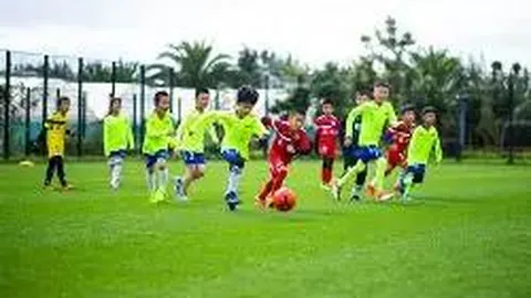 [心绪微澜]揭秘26020期福彩3D专家精选组选杀号秘籍，购彩之旅，坚守即是胜利！