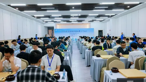：官员因化债违规被问责，背后警示何在